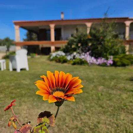 Bilocale A 5 Min Di Auto Al Mare